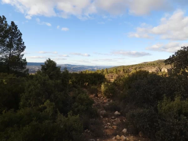 nach Spanien auswandern Auswandern nach Spanien